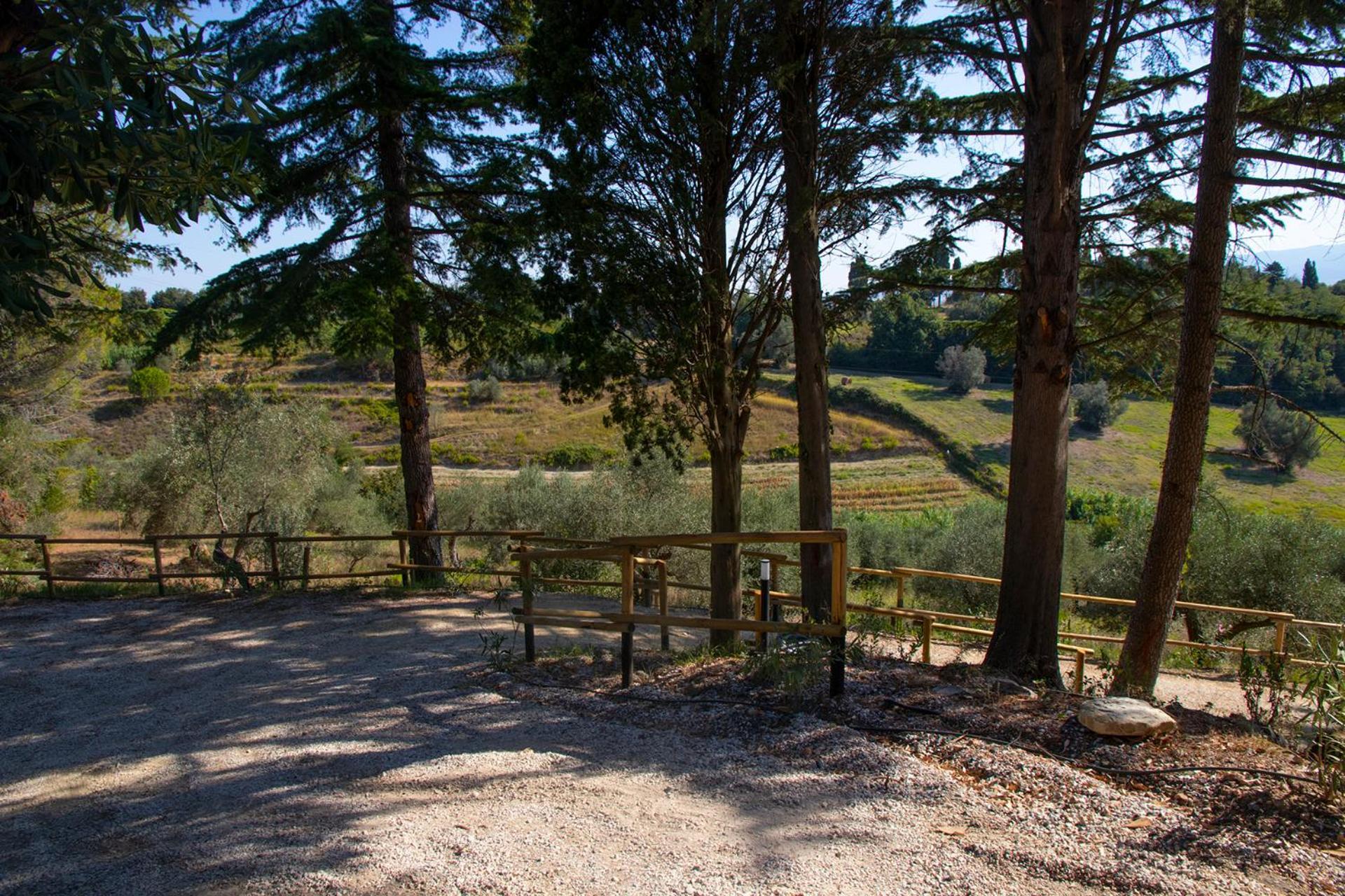 Agriturismo Terre Della Rinascita Castelnuovo della Misericordia Exterior foto
